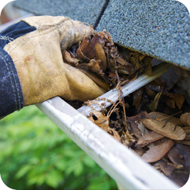 Gutter Cleaning